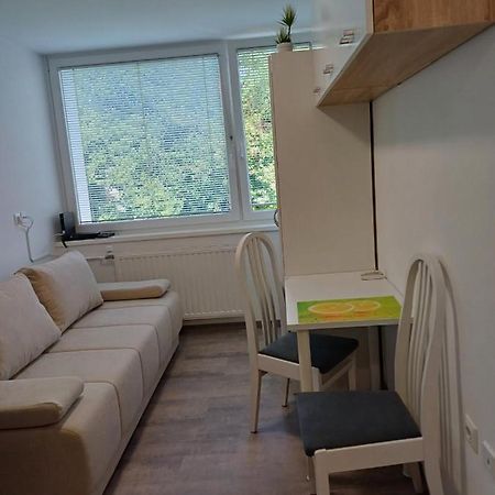 Apartma Nadja Maribor Exterior foto